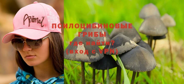 дживик Краснослободск