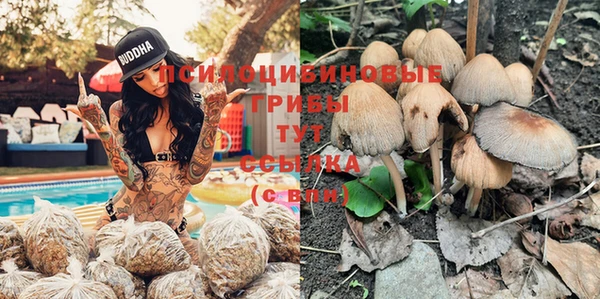ECSTASY Вязники