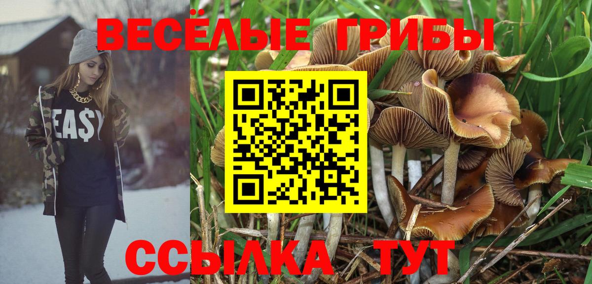 Псилоцибиновые грибы Cubensis Мариинск